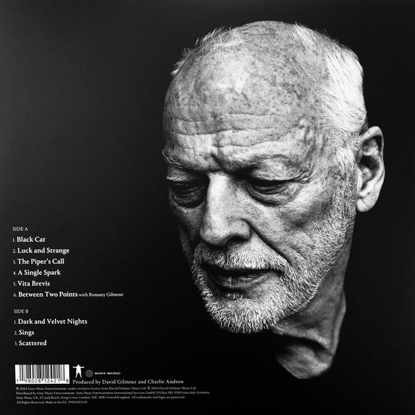 David Gilmour : Luck And Strange (LP, Album, Sea)
