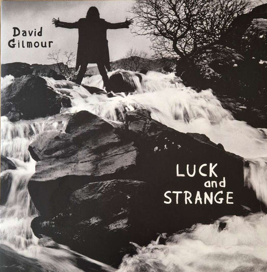 David Gilmour : Luck And Strange (LP, Album, Rec)