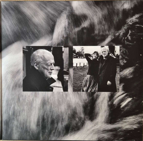 David Gilmour : Luck And Strange (LP, Album, Rec)