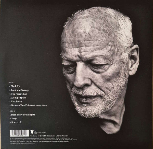 David Gilmour : Luck And Strange (LP, Album, Rec)