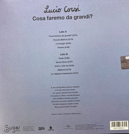 Lucio Corsi : Cosa Faremo Da Grandi? (LP, Album, RE)