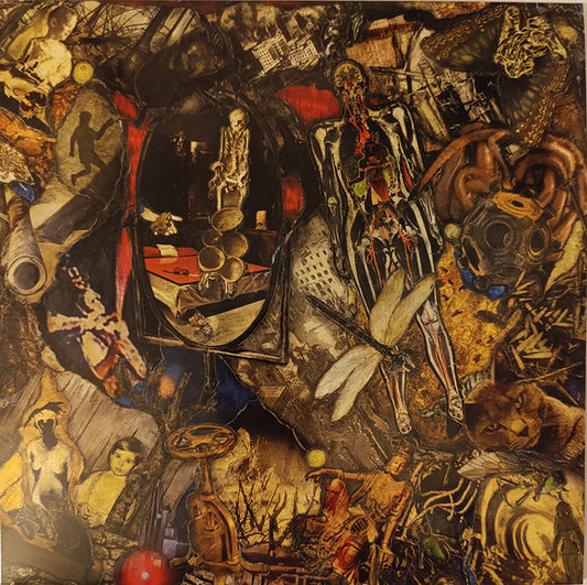 Teho Teardo & Blixa Bargeld : Christian & Mauro (LP, Album, Ltd, Rec)