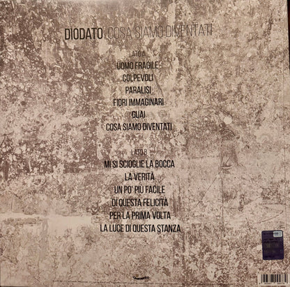 Diodato : Cosa Siamo Diventati (LP, Album, RE)