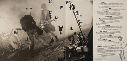 Verdena : Il Suicidio Dei Samurai (2xLP, Album, RE, RM, 20t)