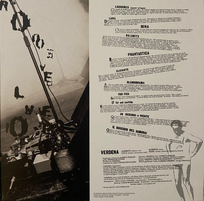 Verdena : Il Suicidio Dei Samurai (2xLP, Album, RE, RM, 20t)