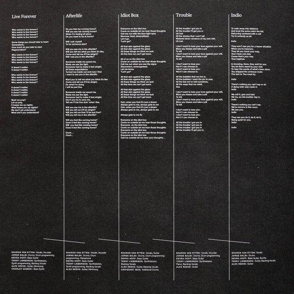 Sharon Van Etten & The Attachment Theory : Sharon Van Etten & The Attachment Theory (LP, Album, Ltd, Amb)