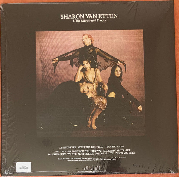 Sharon Van Etten & The Attachment Theory : Sharon Van Etten & The Attachment Theory (LP, Album, Ltd, Amb)