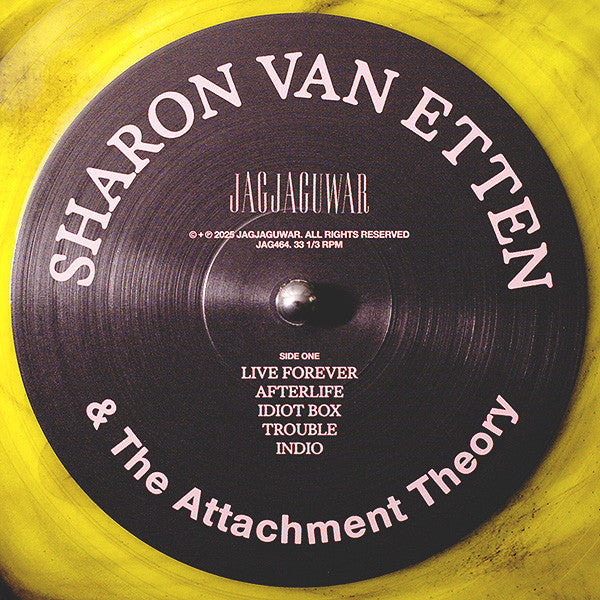 Sharon Van Etten & The Attachment Theory : Sharon Van Etten & The Attachment Theory (LP, Album, Ltd, Amb)