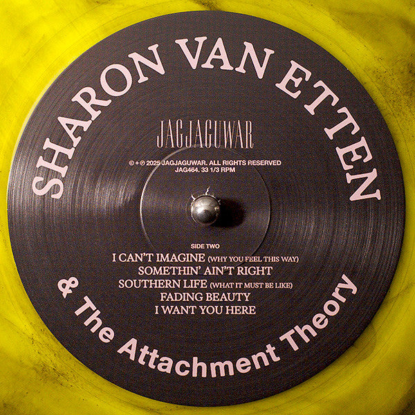 Sharon Van Etten & The Attachment Theory : Sharon Van Etten & The Attachment Theory (LP, Album, Ltd, Amb)
