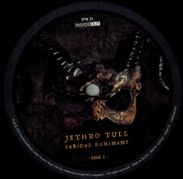 Jethro Tull : Curious Ruminant (LP, Album, 180)