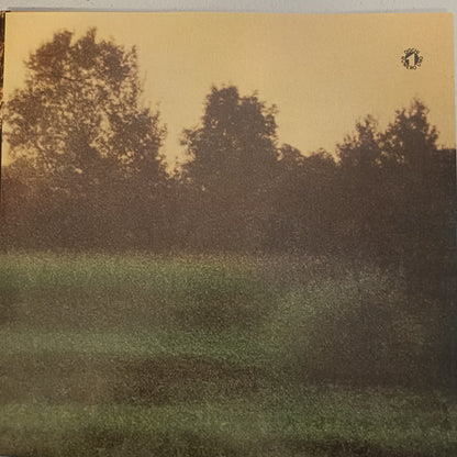 Lucio Battisti : Anima Latina  (LP, RE, RM, Red)