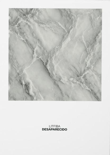 Litfiba :  Desaparecido (LP, Album, Ltd, Num, Mar)