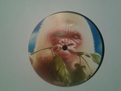 Basement Jaxx : Rooty (2xLP, Album)