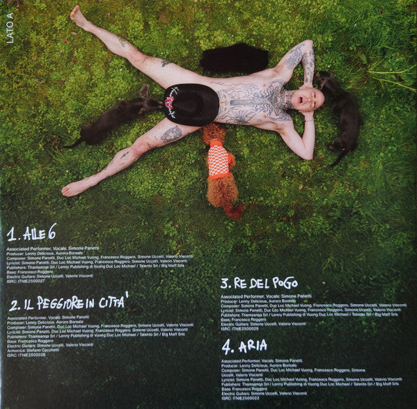 Simone Panetti : Tombino (LP, Album, Pop)