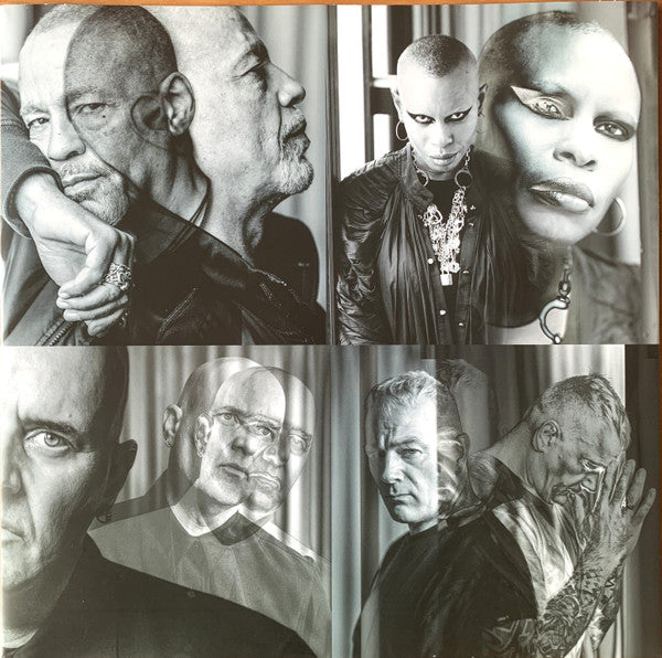 Skunk Anansie : The Painful Truth (LP, Album)