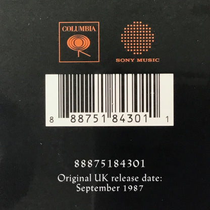 Pink Floyd : A Momentary Lapse Of Reason (LP, Album, RE, RM, Gat)