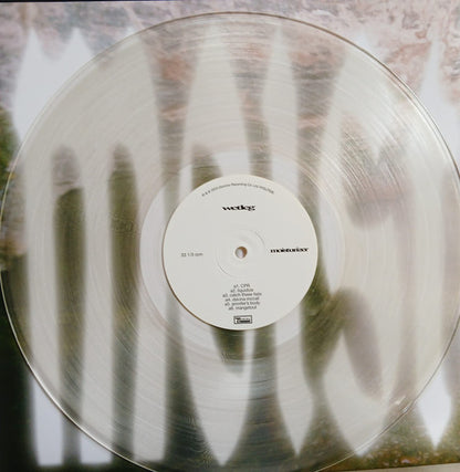 Wetleg* : Moisturizer (LP, Album, Ltd, Cle)
