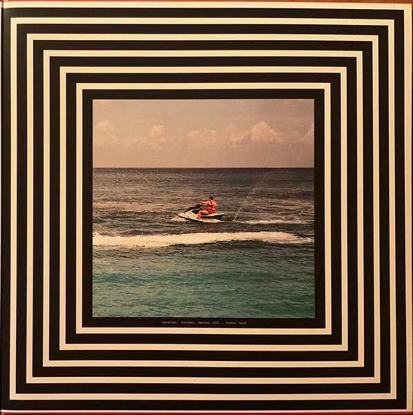 The Armed : The Future Is Here And Everything Needs To Be Destroyed (LP, Album, Bla)