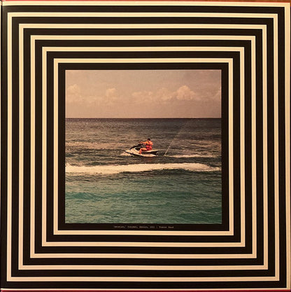 The Armed : The Future Is Here And Everything Needs To Be Destroyed (LP, Album, Bla)