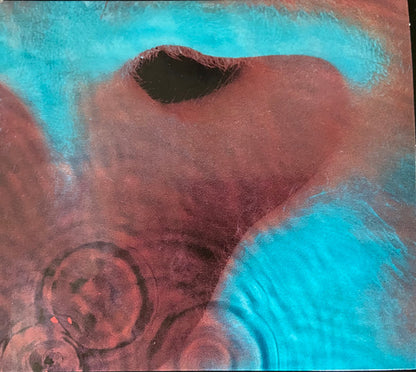 Pink Floyd : Meddle (CD, Album, RE, RM, Dig)