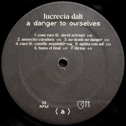 Lucrecia Dalt : A Danger To Ourselves (LP, Album)