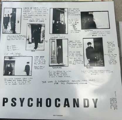 The Jesus And Mary Chain : Psychocandy (LP, RE, 40t)