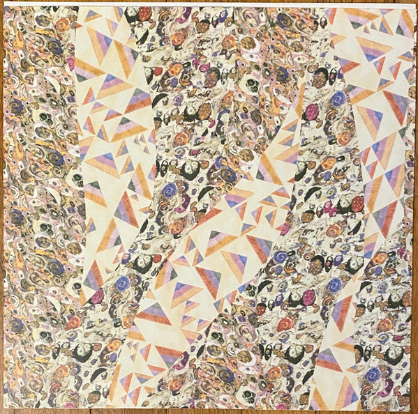 Blonde Redhead : The Shadow Of The Guest (12", Album)