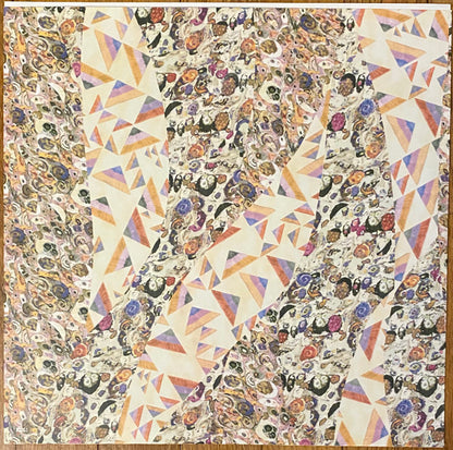 Blonde Redhead : The Shadow Of The Guest (12", Album)