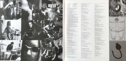 The Black Crowes : Amorica (2xLP, Album, RE, RM, 180)