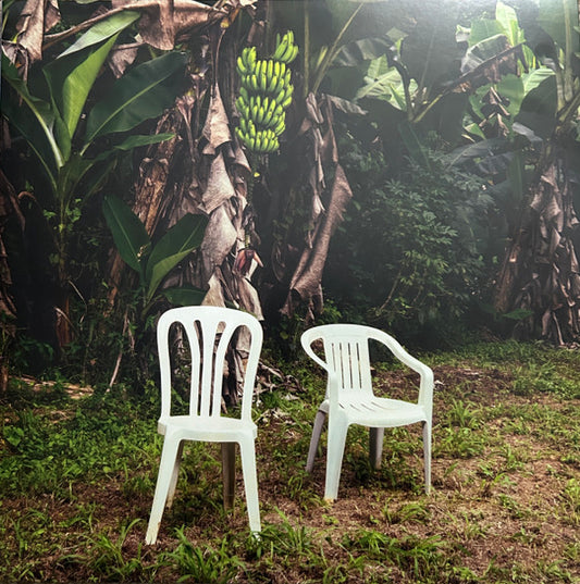 Bad Bunny : Debí Tirar Más Fotos (2xLP, Album, RE, Whi)