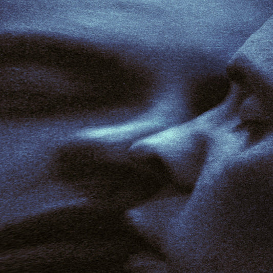 Puma Blue : Croak Dream (LP, Album, Dee)