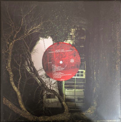 Knocked Loose : You Won't Go Before You're Supposed To (LP, Album, Ltd, Blo)