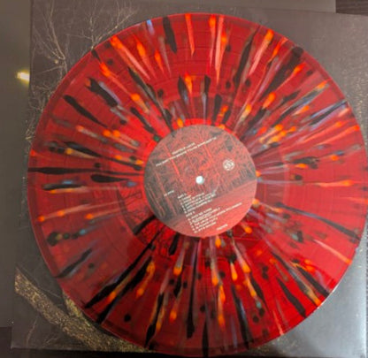Knocked Loose : You Won't Go Before You're Supposed To (LP, Album, Ltd, Blo)