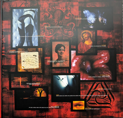 A Perfect Circle : Mer De Noms (2xLP, Album, Ltd, Ora)