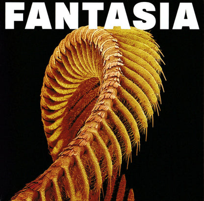 Slift : Fantasia (CD, Album)
