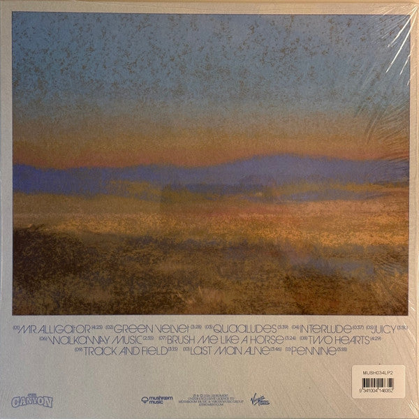 JJerome87 : The Canyon (LP, Album, Ora)