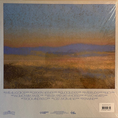 JJerome87 : The Canyon (LP, Album, Ora)