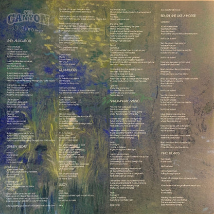 JJerome87 : The Canyon (LP, Album, Ora)
