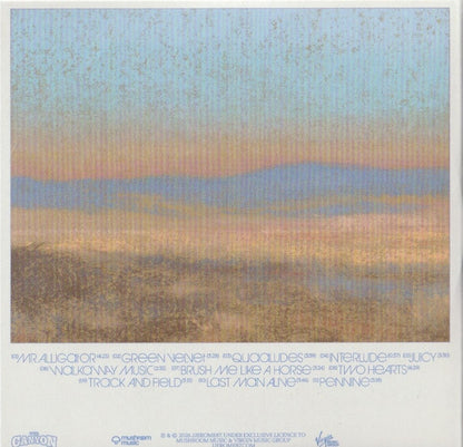 JJerome87 : The Canyon (CD, Album)