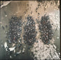 Show Me The Body : Alone Together (LP, Album, Ltd, Sil)