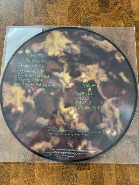 Dinosaur Jr. : Green Mind (LP, Album, Ltd, Pic, RE)