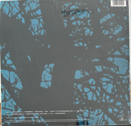 The Sundays : Static & Silence (LP, Album, RE)