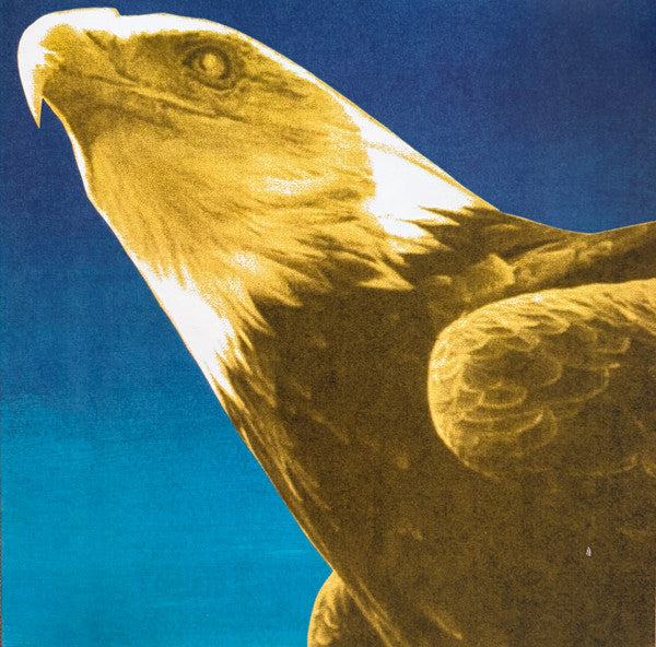 Protomartyr (2) : Hotel Usona (LP, Album, Ltd, Gol)