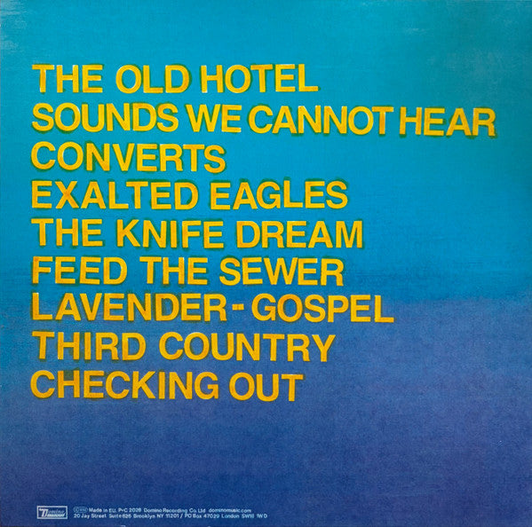 Protomartyr (2) : Hotel Usona (LP, Album, Ltd, Gol)