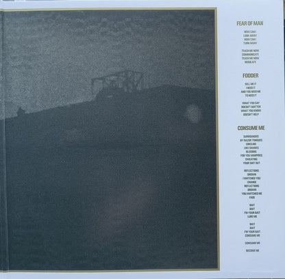 Godflesh : Decay (LP, Album, Whi)