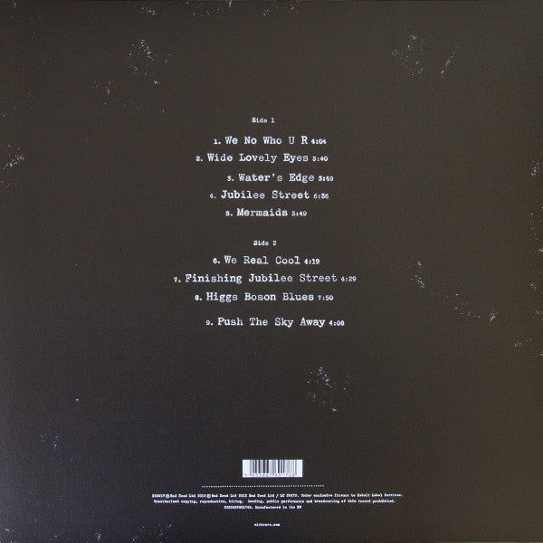 Nick Cave & The Bad Seeds : Push The Sky Away (LP, Album, 180)