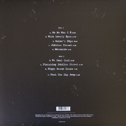 Nick Cave & The Bad Seeds : Push The Sky Away (LP, Album, 180)