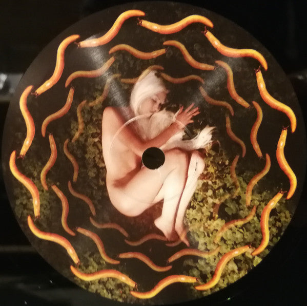 A Perfect Circle : Thirteenth Step (2xLP, Album, RE, 180)