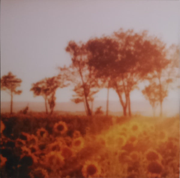 Kruder & Dorfmeister : The K&D Sessions™ (5x12", Comp, RE, RM, Tri)