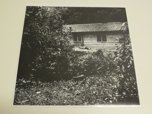 White Hills : Walks For Motorists (LP, Album, Ltd, Pur)